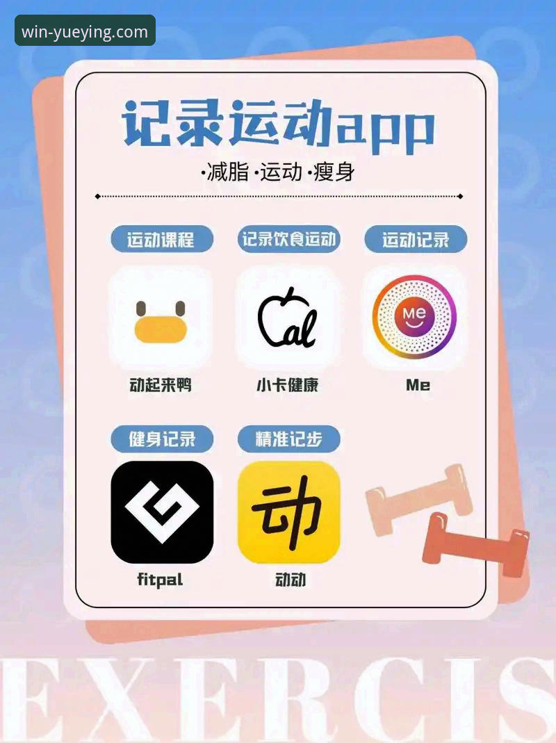 悦盈体育官网安卓版功能详解 揭秘悦盈体育平台安卓版:那些你不知道的隐藏功能和实战体验